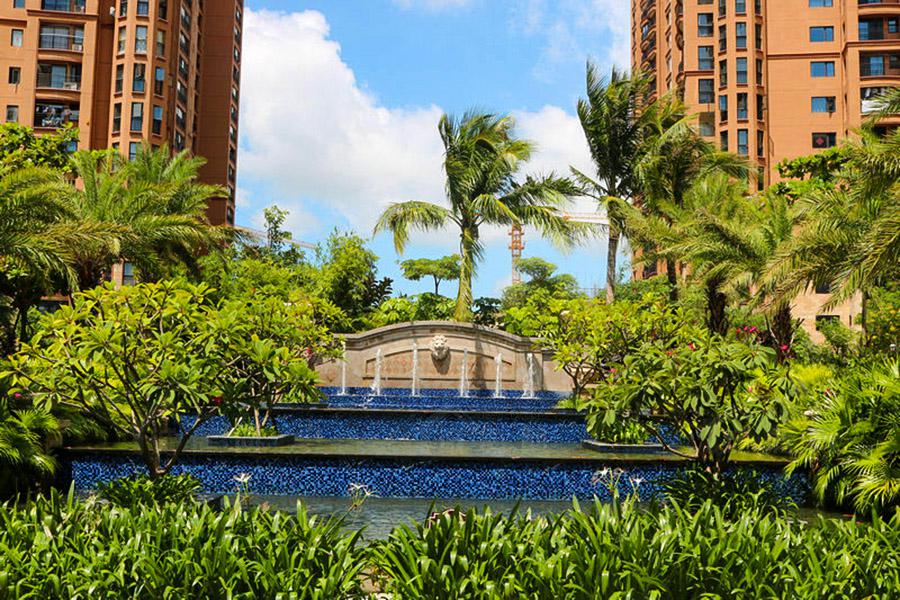 1605685036237563.jpg 2.jpg