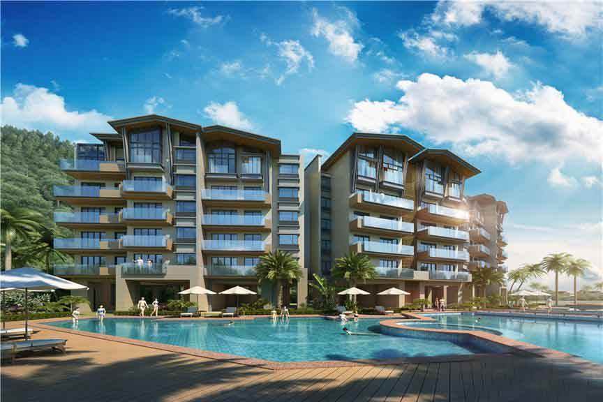 1612332969221550.jpg 2.jpg